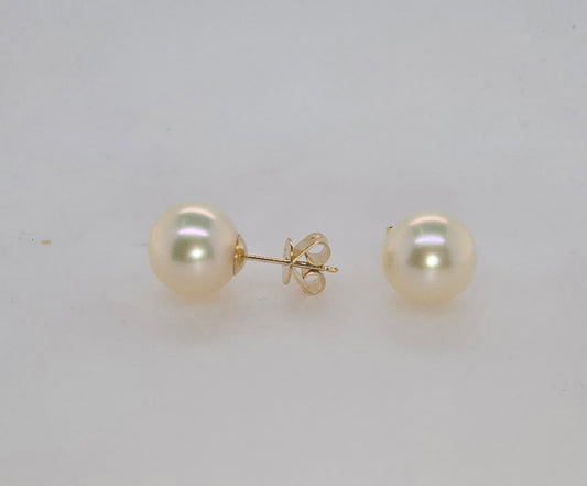 9CT YELLOW GOLD ROUND 9-9.5MM FRESHWATER PEARL STUDS